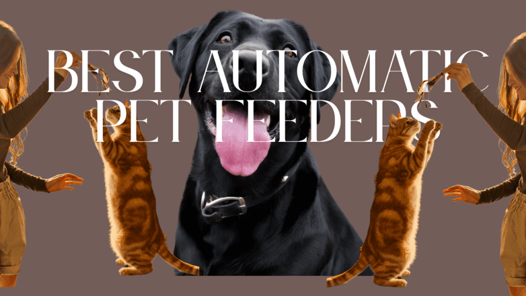 This image represents the Best Automatic Pet Feeders featured in our review, highlighting convenient and reliable feeding solutions.